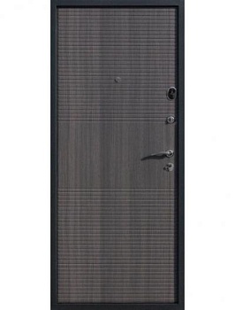 Дверь эконом: антивандальное порошковое покрытие, цвет Черный муар + МДФ-панель (10 мм), цвет Венге тобакко ЭК-2059